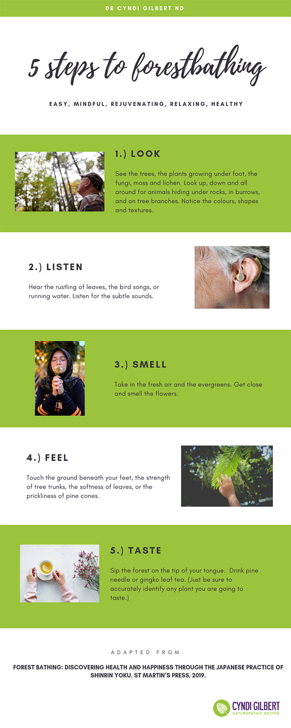 Forest Bathing Infographic