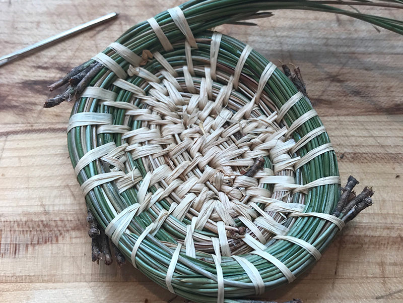 Pine needle basket in process beside a sewing needle